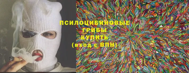 Галлюциногенные грибы Cubensis  сколько стоит  Верхний Тагил 